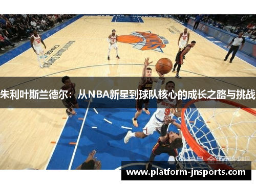 朱利叶斯兰德尔：从NBA新星到球队核心的成长之路与挑战